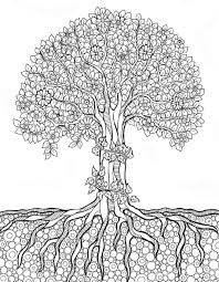 In 20th century scientists have studied some of the therapeutic advantages of coloring pages, especially for adults. Tree Mandala Coloring Novocom Top