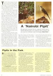 Image result for Flabellariopsis acuminata