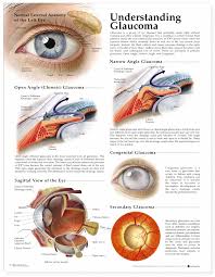 pin on eye diseases