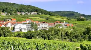 Hotel Sudpfalz Terrassen Gleiszellen Gleishorbach