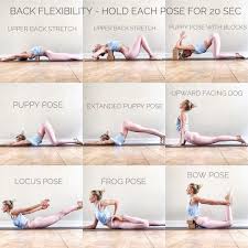Pin On Back Pain Exercises