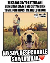 A Veces No Te Das Cuenta Pero Cuando Adoptas A Un Perro Tu Pequena Familia Comienza Dog Perro Familia Bebe Pareja Matrimonio Frases Perros Perros Fr
