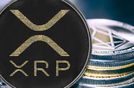 Browse the ripple latest news today with the xrp price prediction & price analysis & guide from the cryptocurrency market at ripplelatestnews.today. Hmhritvhvfuzdm