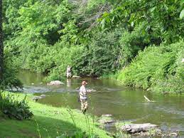 It truly felt like a community. Down By The River Campground Blue Ridge Parkway