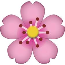 Cherry Blossom Emoji Colourful Wallpaper Iphone Emoji Cherry Blossom