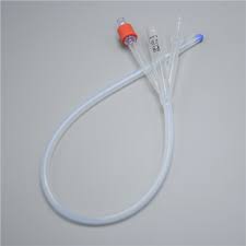 Image result for Cathormion