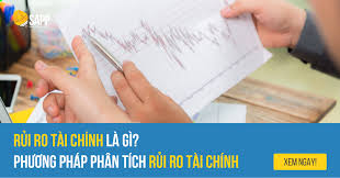 Rủi Ro Tài Chính Là Gì? Phương Pháp Phân Tích Rủi Ro Tài Chính