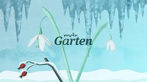 Mdr Garten Der Garten Ratgeber Im Mdr Fernsehen Und Im Internet Mdr De Mdr Garten Garten Gartencenter