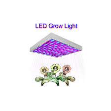 All blue led grow light. Wholesale Red Blue Led Hydroponic Light Panel From China