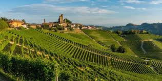 Esiste" il vino bianco in Piemonte? - Vino.com Blog