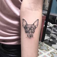 Dotwork Pinscher Tattoo By Luis Miguel Hinestroza Small Shoulder Tattoos Lioness Tattoo Dog Tattoos