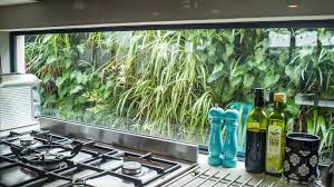 Cocoyard flower herb garden planter for kitchen window, home decor, scandinavian decor, great gift for plant lovers, christmas, and birthday cocoyard. Kitchen Window Gets A Green Wall View Atlantis Corporation