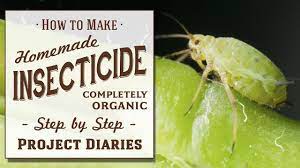 All of these products can be purchased at any home depot or. How To Make Homemade Insecticide Complete Step By Step Guide To Killing Garden Pests Insects Youtube