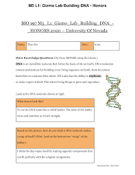 Gizmo student exploration building dna answer key. Gizmo Building Dna Answers Building Dna Gizmo Lesson Info Explorelearning Watch This Video To Help You Get Started On The Building Dna Gizmo