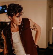 Shawn Mendes Faz Tatuagem De Borboleta Desenhada Por Fa Cidadeverde Com Ships from and sold by amazon.com.