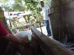 Citadel Elegores Obado added a...