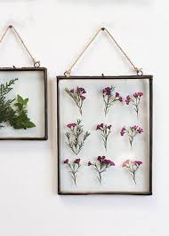 Glass frame for pressed flowers wholesale. Hanging Floating Glass Frames Home Wall Accents Afloral Com