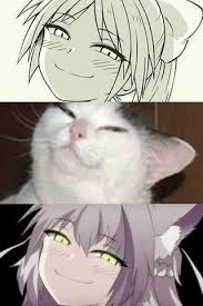 Found On Ifunny Memes De Anime Dibujos Memes Otakus