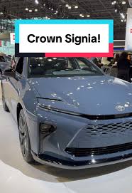 Image result for Storm Cloud 2025 Crown