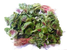 Tidak hanya dikonsumsi dalam olahan biasa seperti sayur bening, tumisan, salad, atau lalapan. Bayam Merah Maskulin