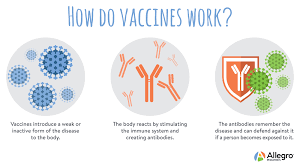 The greater the number of unvaccinated people in a. Immunization Myths Allegro Pediatrics