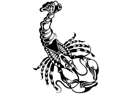 They love being at home and caring for up next are 37 interesting cancer zodiac sign facts. Things You Would Love To Know About The Cancer Horoscope Sign Astrology Bay