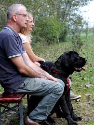 The goals and purposes of this breed standard include: Diuck Young Cane Corso And Family Luke Giovane Cane Corso 6 Mesi Con La Famiglia Cani Famiglia