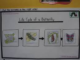 Life Cycle Of Butterfly Flow Map Flow Map Thinking Maps