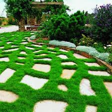 Barefoot Patio Landscape Design Outdoor Gardens Garden