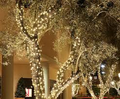 San Antonio Holiday Exterior Tree Wrapping With Mini Lights Outdoor Lighting Perspectives Of San Antonio