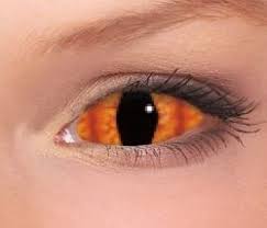 Black And White Sclera Contacts Black Sclera Contact Lenses Red White Sclera Eye Contact Lenses Contact Lenses Eye Contact Lenses Lenses