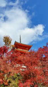 Autumn In Kyoto Japan 3 Day Itinerary Japan In November December Where To Go For Fall Foliage Colors Backpacking Japan Fall Travel Flashpacking Japan In 2020 Japan Travel Photography