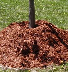 Located just 15 minutes west of syracuse, our retail nursery offers a wide variety of trees, shrubs and perennials, as well as mulches and stone. The Adirondack Company The Natural Choice For Premium Landscape Mulch And Decorative Stone