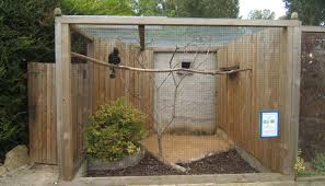 Walk In Bird Aviary For Sale 10 A Lot Of Pictures About Small Bird Aviary For Sale Project Jackiebird In 2020 Bird Aviary For Sale Aviary For Sale Small Birds