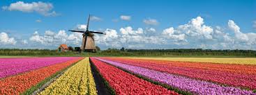 The days are getting longer, the flowers make for beautiful sights and you can sit and enjoy a beer …. Netherlands Higher Education Pathways Study Group