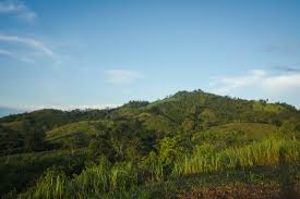 Cordoba Minerals Announces Appointment of Dr. Ernesto Lima as Vice  President and Project Director of the 100% Owned San Matias  Copper-Gold-Silver Project