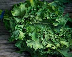 صورة Kale
