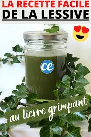 Epingle Sur Astuces Maison