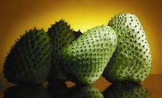 Daun durian belanda merupakan daun berukuran lebar dan juga panjang. 22 Jus Annona Annona Juice Ideas Jus Juice Glutathione Benefits