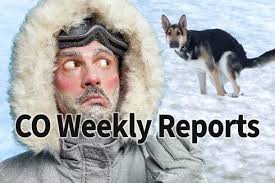 Area Boys Basketball: Pequot Lakes outscores Staples-Motley