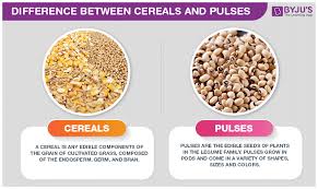 How do you say i will pay you in hindi? What Is The Difference Between Cereals And Pulses