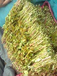 Check spelling or type a new query. Ø§Ù„Ù‚Ø§Øª Ø§Ù„Ø´Ø§Ù…ÙŠ Ø§Ù„Ù‚Ø§Øª