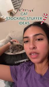 Cat Christmas Stocking Prefilled