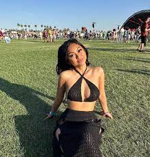 Coachella revellers drop jaws in sexy mesh skirts and extreme cut-out  dresses - Daily Star