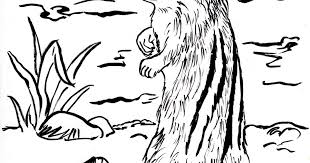 Check spelling or type a new query. Chipmunk Coloring Page Art Starts