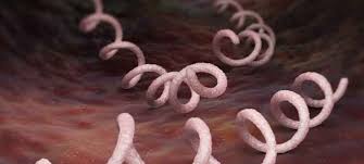 Check spelling or type a new query. Symptomer Og Billeder Af Syfilis Alt Om Dit Helbred