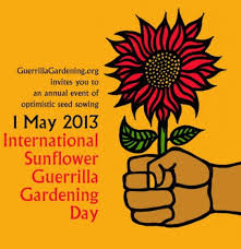 On 1 May Gardeners Around Thw World Are Urged To Go Out Beyond Our Gardens And Plant Sunflower Seeds In The Hope That Guerrilla Gardening Guerrilla Sunflower