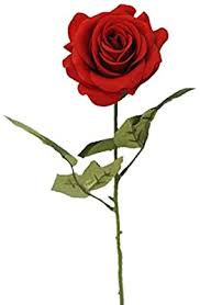 68,068 likes · 2,107 talking about this. Amazon Com Sweet Home Deco 17 Real Touch Rose Artificial Single Spray Set Of 2 Red X 2 Pcs Home Kitchen
