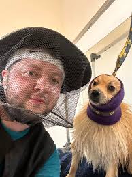 anyone else love a nice deshedding and neaten appt??? 😭🤩