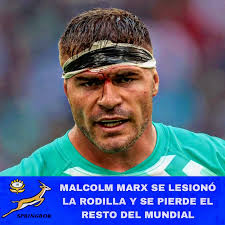 🇿🇦🥹Golpe para los Springboks. Malcolm Marx se lesionó la rodilla en un  entrenamiento y quedó descartado para el resto del Mundial. Sudáfrica  pierde a una de sus figuras, siempre influyente en el